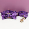 Purple Halloween bat dog collar, leash and bow tie set