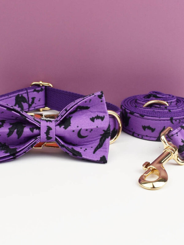 Purple Halloween bat dog collar, leash and bow tie set