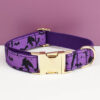 Purple Halloween bat print dog collar with gold buckle