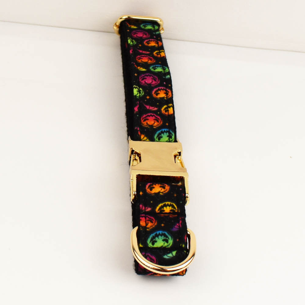 Overview of the 3-piece custom engraved Halloween colorful pumpkin pet collar and leash set
