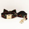 Overview of the 3-piece custom engraved Halloween colorful pumpkin pet collar and leash set