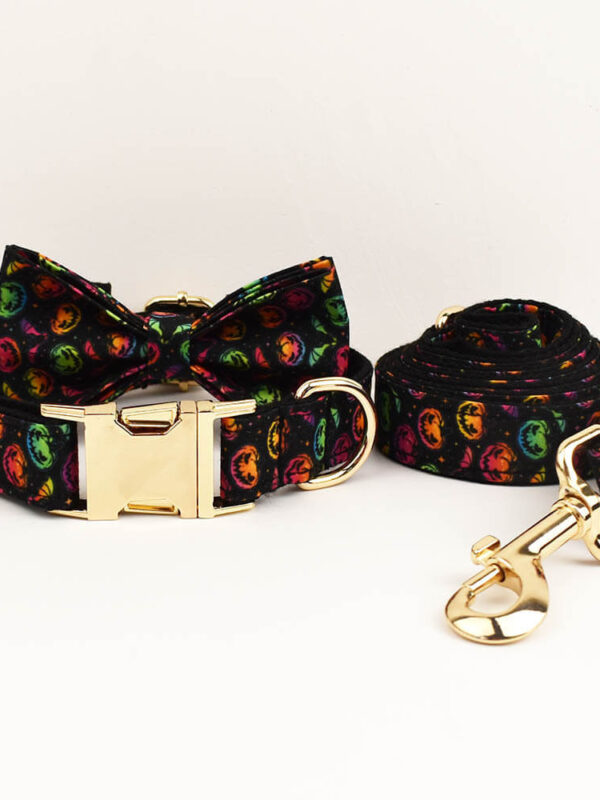 Overview of the 3-piece custom engraved Halloween colorful pumpkin pet collar and leash set