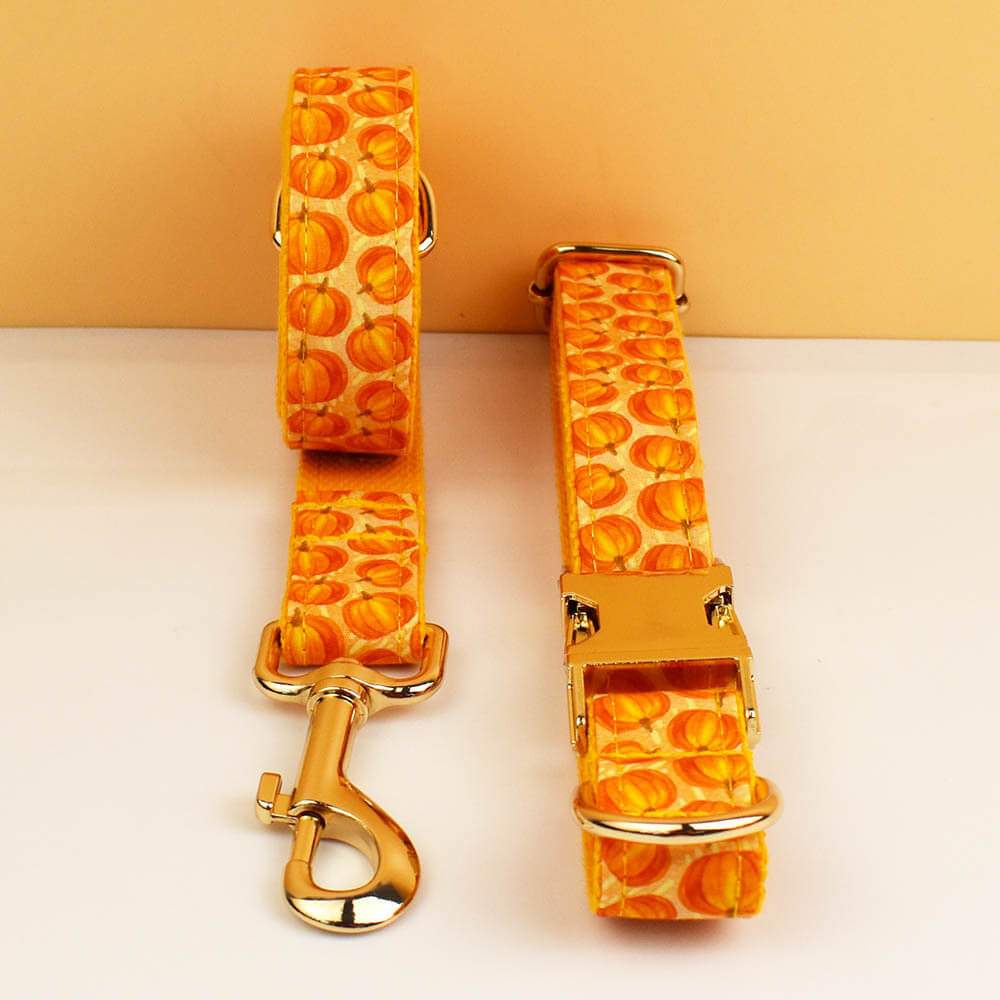 Parallel display of orange pumpkin dog collar and matching leash with gold hardware