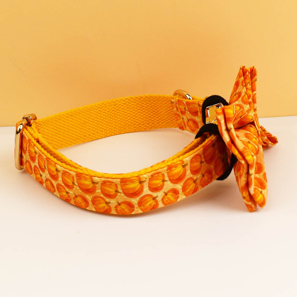 Orange pumpkin dog collar with detachable bow tie angled view