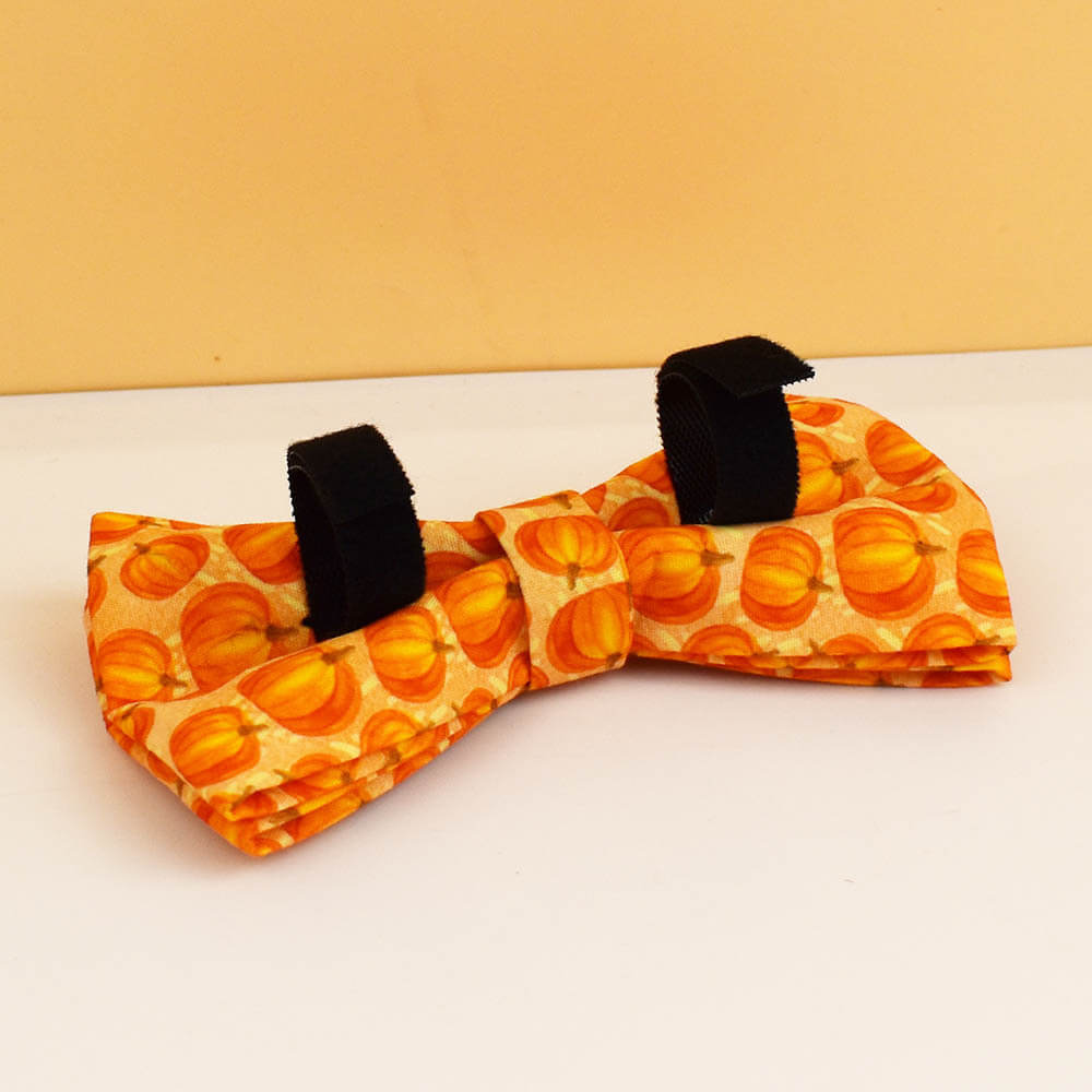 Back view of orange pumpkin dog bow tie showing elastic attachment loops
