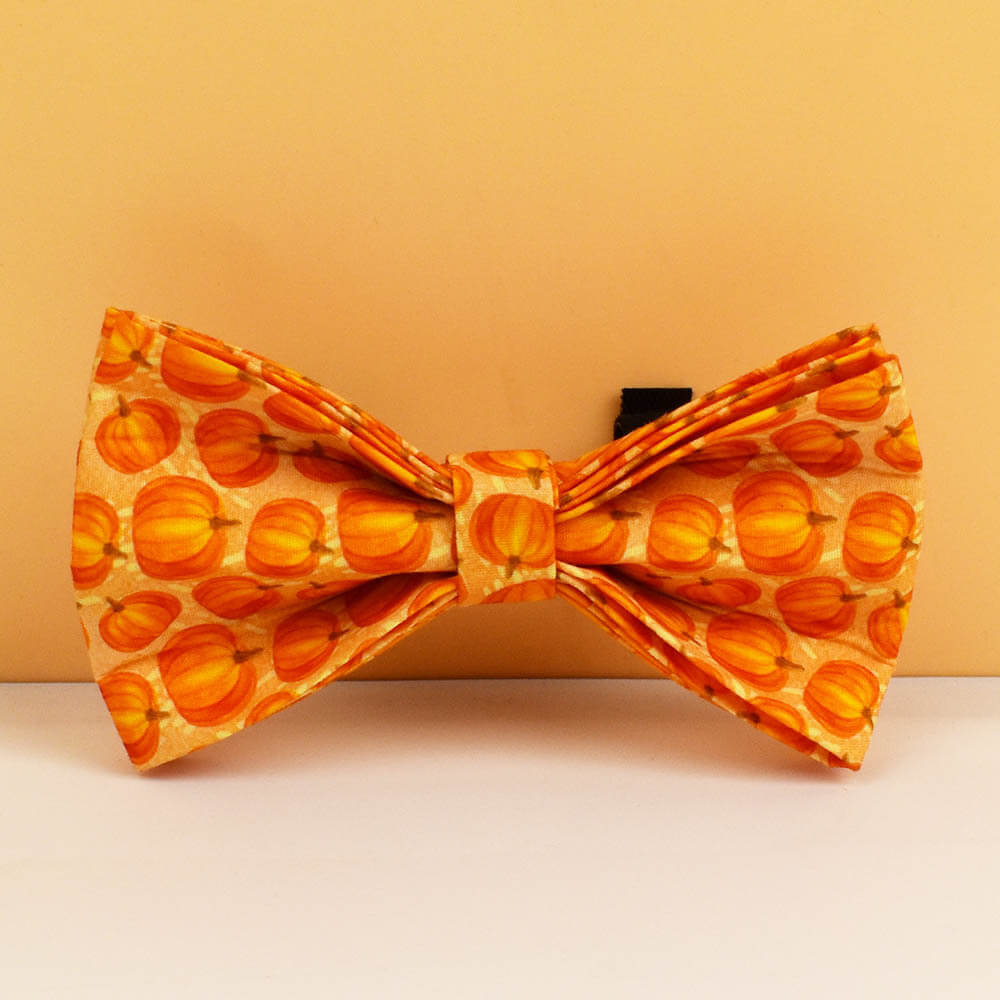 Front view of orange pumpkin patterned dog bow tie accessory