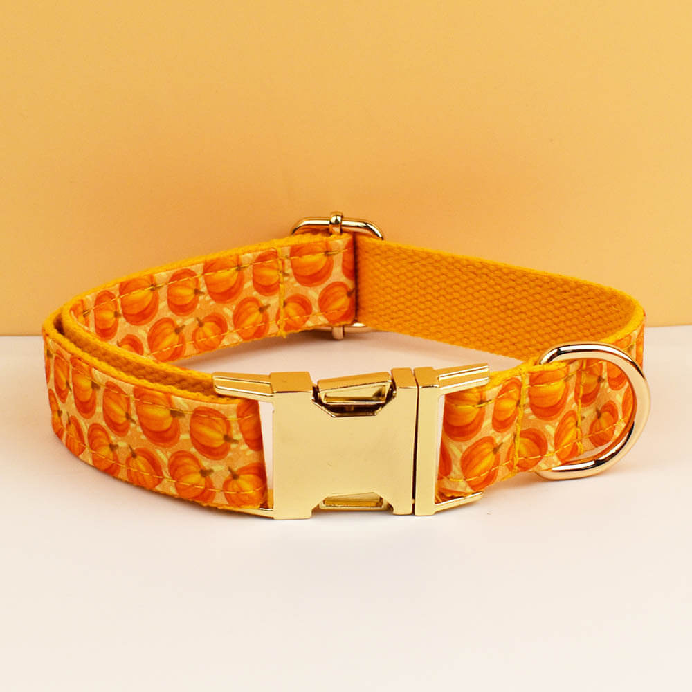 Orange pumpkin pattern dog collar with gold metal buckle closeup view