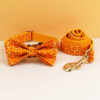 3-piece set featuring orange pumpkin dog collar, matching leash, and bow tie bundle