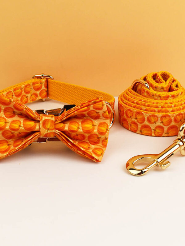 3-piece set featuring orange pumpkin dog collar, matching leash, and bow tie bundle
