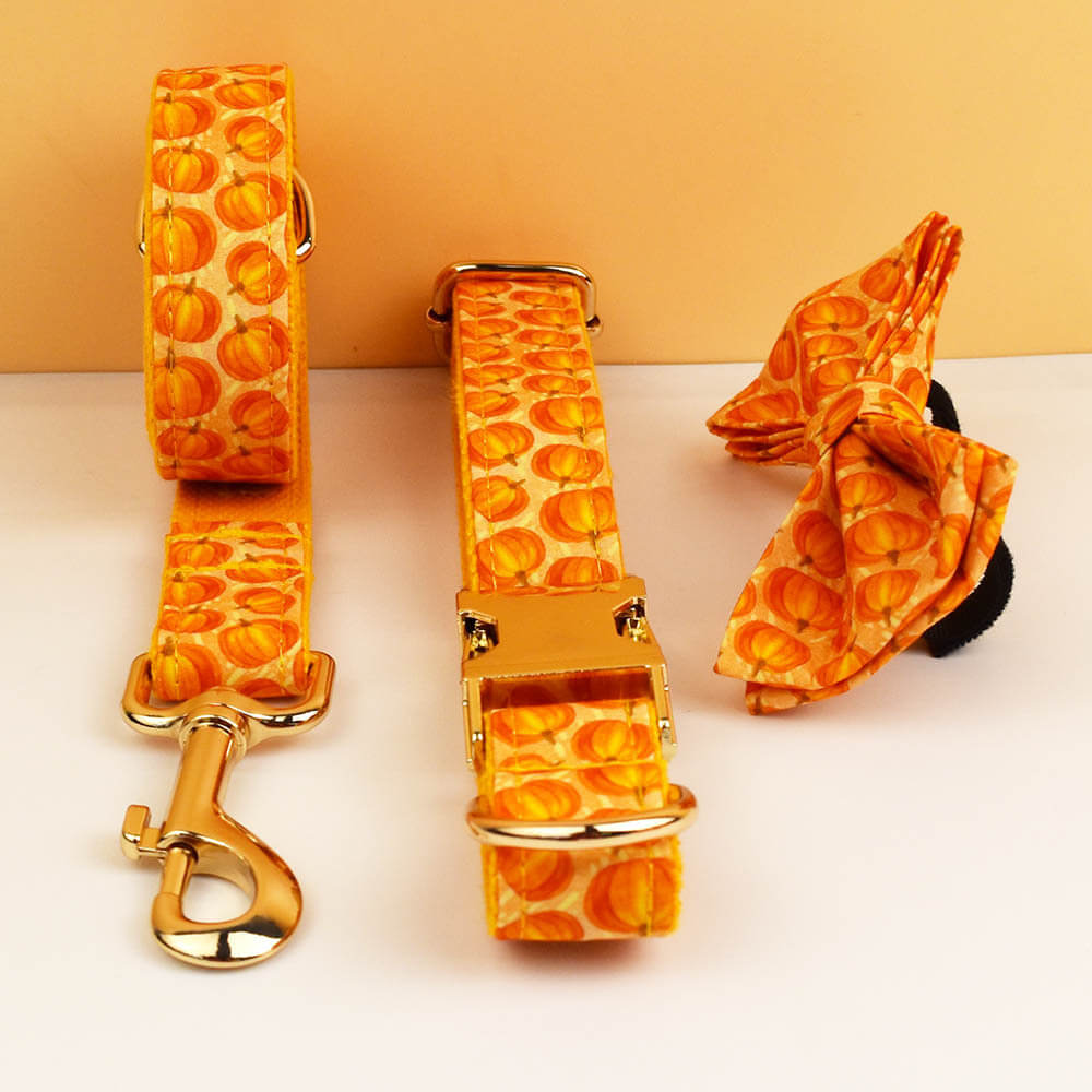 Complete set of orange pumpkin dog collar, leash, and detachable bow tie layout