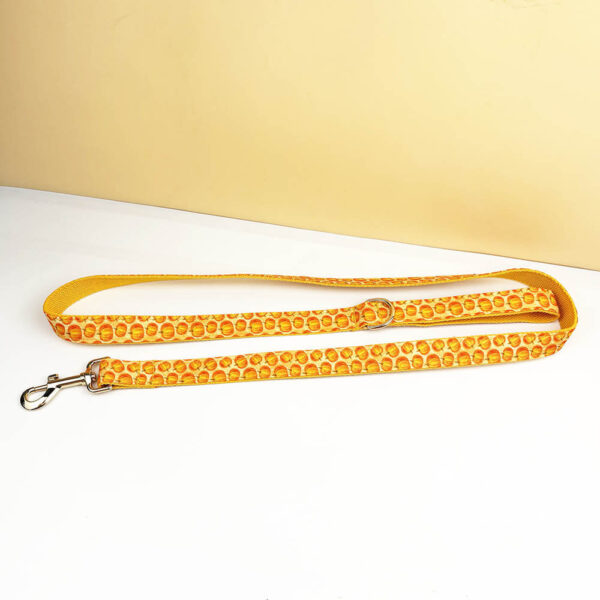Full length view of orange pumpkin patterned dog leash with gold metal clasp