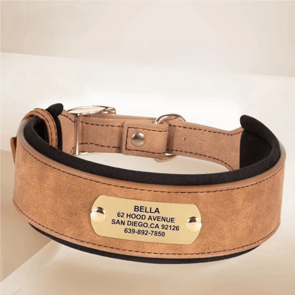 Personalized brown wide leather dog collar with custom engraved name plate.