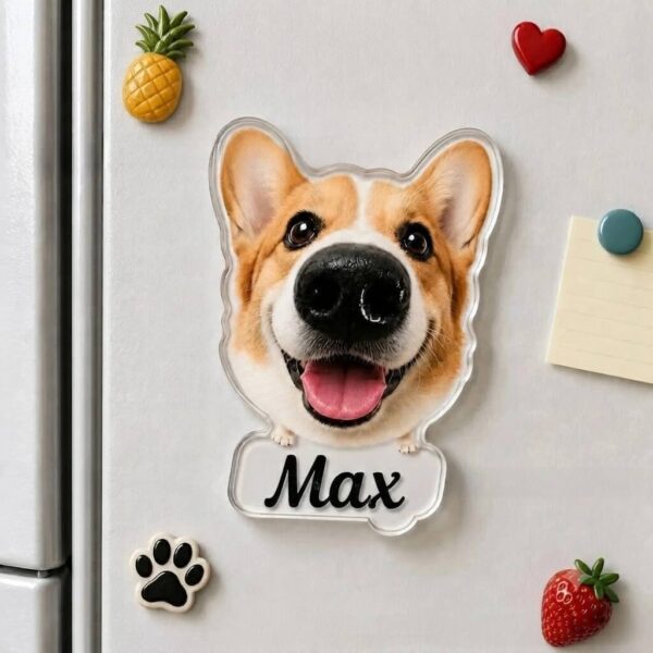 Personalized corgi pet portrait acrylic fridge magnet with squishy nose on refrigerator