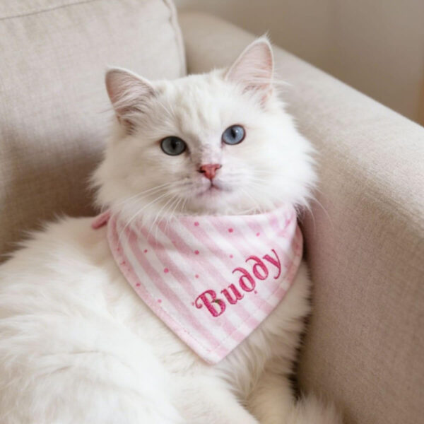 A white cat wearing a personalized embroidered pink striped pet bandana with custom name