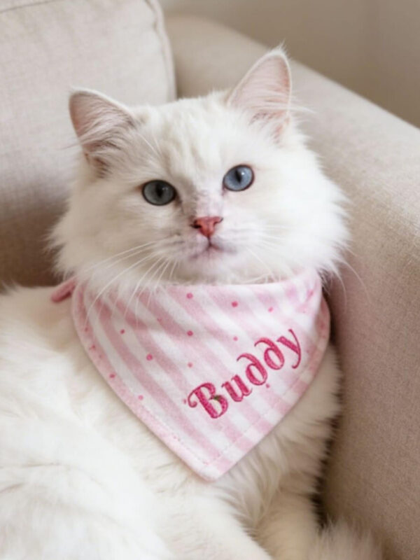 A white cat wearing a personalized embroidered pink striped pet bandana with custom name