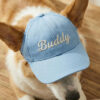 Blue personalized embroidered dog baseball cap with custom name