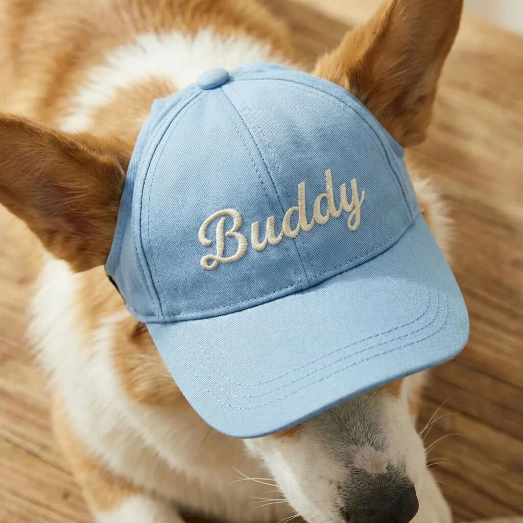 Blue personalized embroidered dog baseball cap with custom name