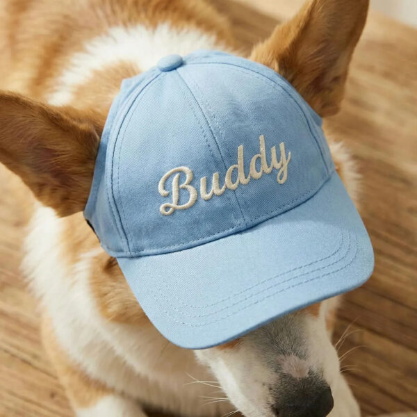 Blue personalized embroidered dog baseball cap with custom name