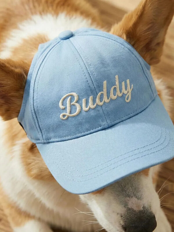 Blue personalized embroidered dog baseball cap with custom name