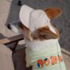 Cream white personalized embroidered dog sun hat for small dogs