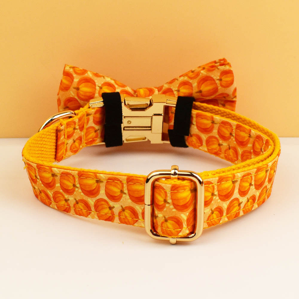 Personalized orange pumpkin dog collar featuring gold buckle and bow tie detail