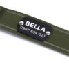 Close-up of personalized custom engraved metal nameplate on nylon dog collar
