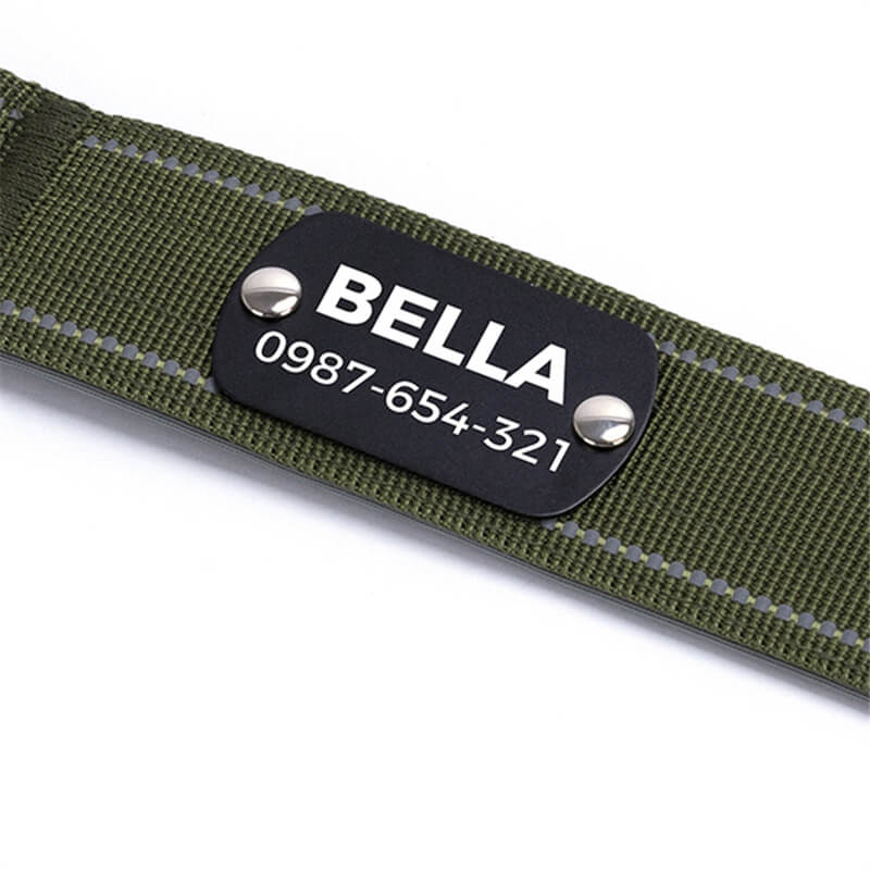 Close-up of personalized custom engraved metal nameplate on nylon dog collar