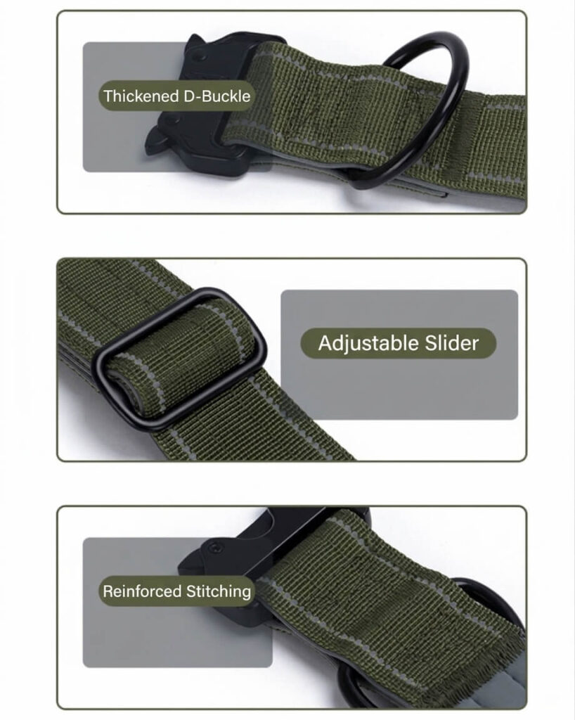 Close-up of heavy-duty metal quick-release buckle on tactical dog collar